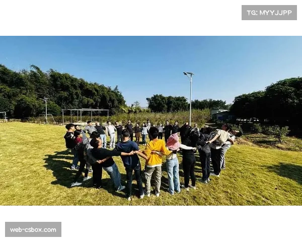 草皮维护团队的最后准备:确保开赛时场地处于最佳状态